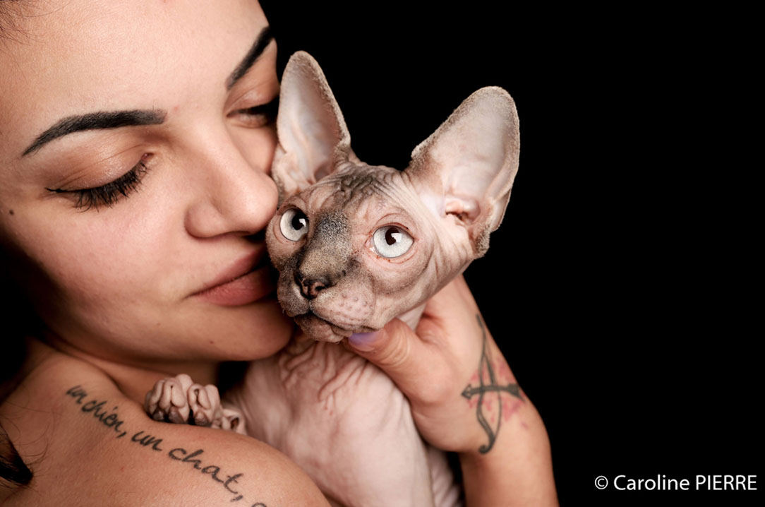 Accueil Portrait animaux_SÉANCE PHOTOS EN NOUVELLE-AQUITAINE - CAROLINE PIERRE PHOTOGRAPHE