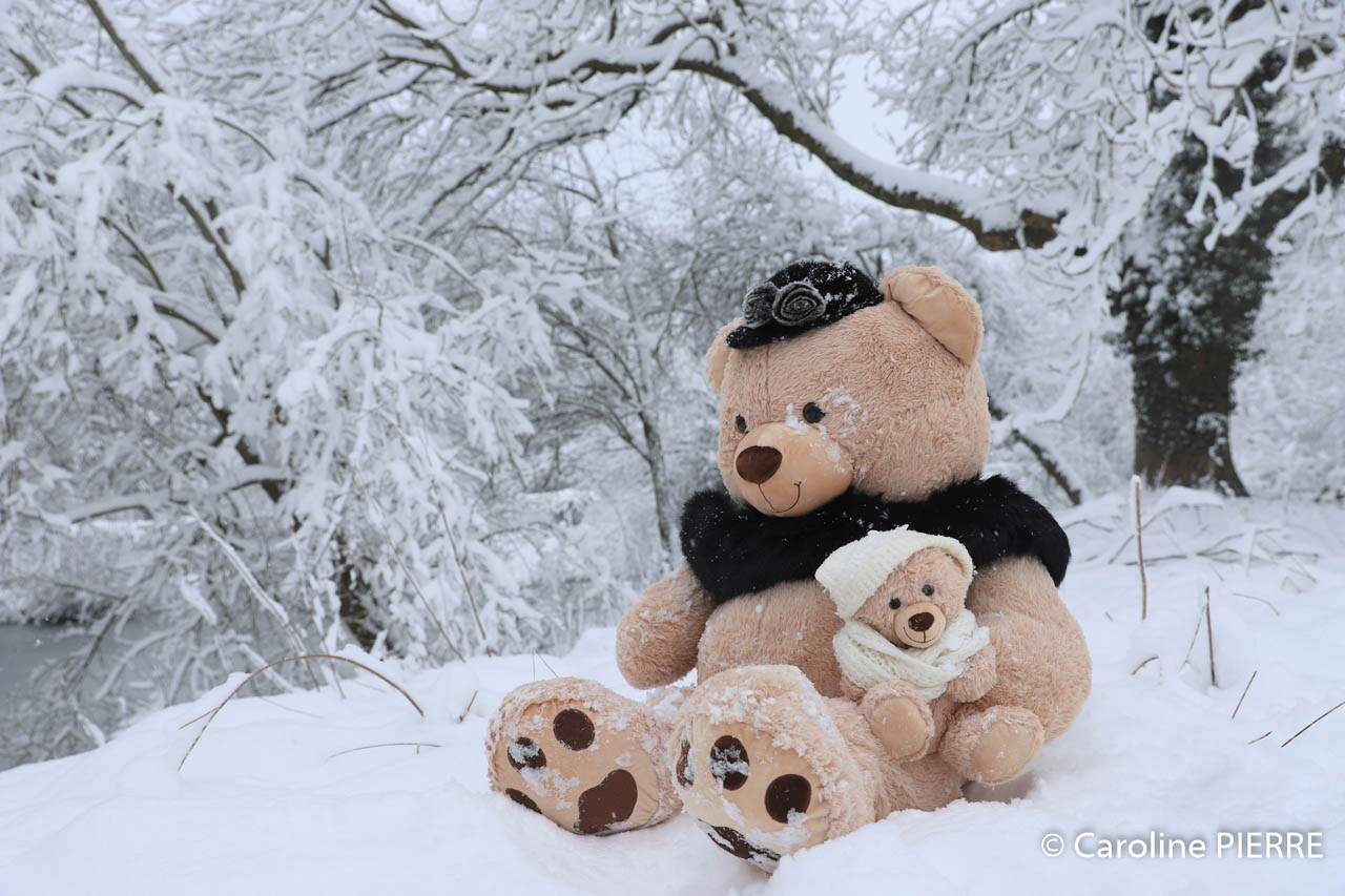 photographe-nanteuil-les-meauxPHOTOGRAPHE A NANTEUIL-LES-MEAUX : « Nanteuil-les-Meaux, sous son magnifique manteau neigeux… » - CAROLINE PIERRE PHOTOGRAPHE