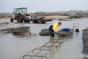 photographe-ostreiculteurs-chatelaillon-plagePHOTOGRAPHE «LES BOUCHOLEURS» Châtelaillon-Plage - CAROLINE PIERRE PHOTOGRAPHE