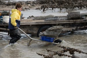 photographe-ostreiculteurs-chatelaillon-plage-la-rochellePHOTOGRAPHE «LES BOUCHOLEURS» Châtelaillon-Plage - CAROLINE PIERRE PHOTOGRAPHE