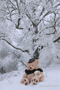 seance-photos-meauxPHOTOGRAPHE A NANTEUIL-LES-MEAUX : « Nanteuil-les-Meaux, sous son magnifique manteau neigeux… » - CAROLINE PIERRE PHOTOGRAPHE