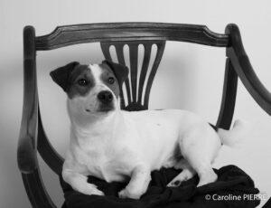 seance-photos-famille-avec-animaux-de-compagnie-la-rochelle - CAROLINE PIERRE PHOTOGRAPHE photographe--la-rochelle-chatelaillon-plage-animal-de-compagnie